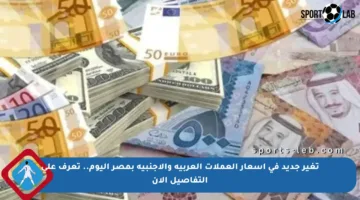 تغير جديد في أسعار العملات العربية والأجنبية بمصر اليوم.. تعرف على التفاصيل الآن